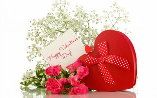 Valentines_Day 144.jpg